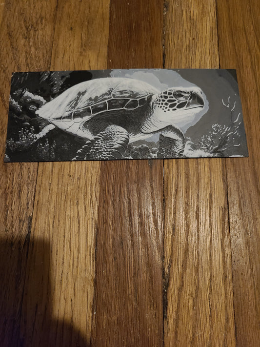 Sea turtle